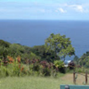 Meet your Posher, Dee